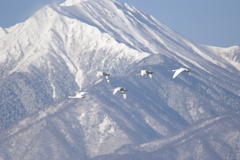 スワン部隊常念岳飛行中　２