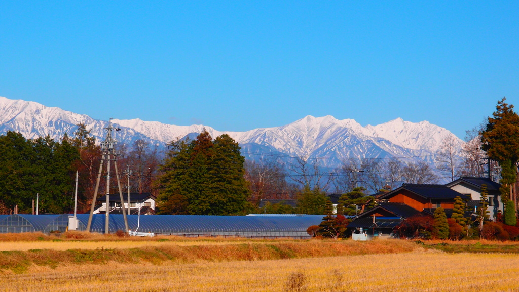 秋の記憶　（白馬連峰を望む）