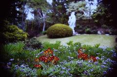 花尽くし　(フィルムスナップ)