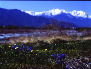 山の彼方に・・・　(フィルムの残像)