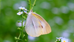 私をよく見てね！