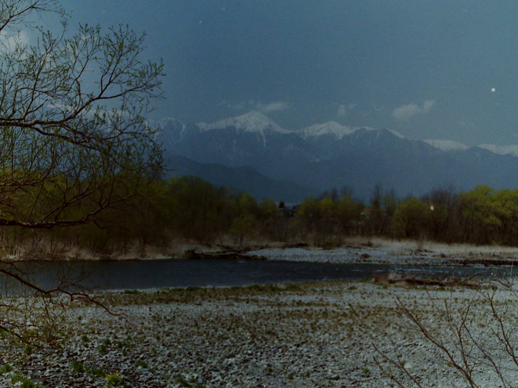 芽吹きのころ　（フィルムの残像）