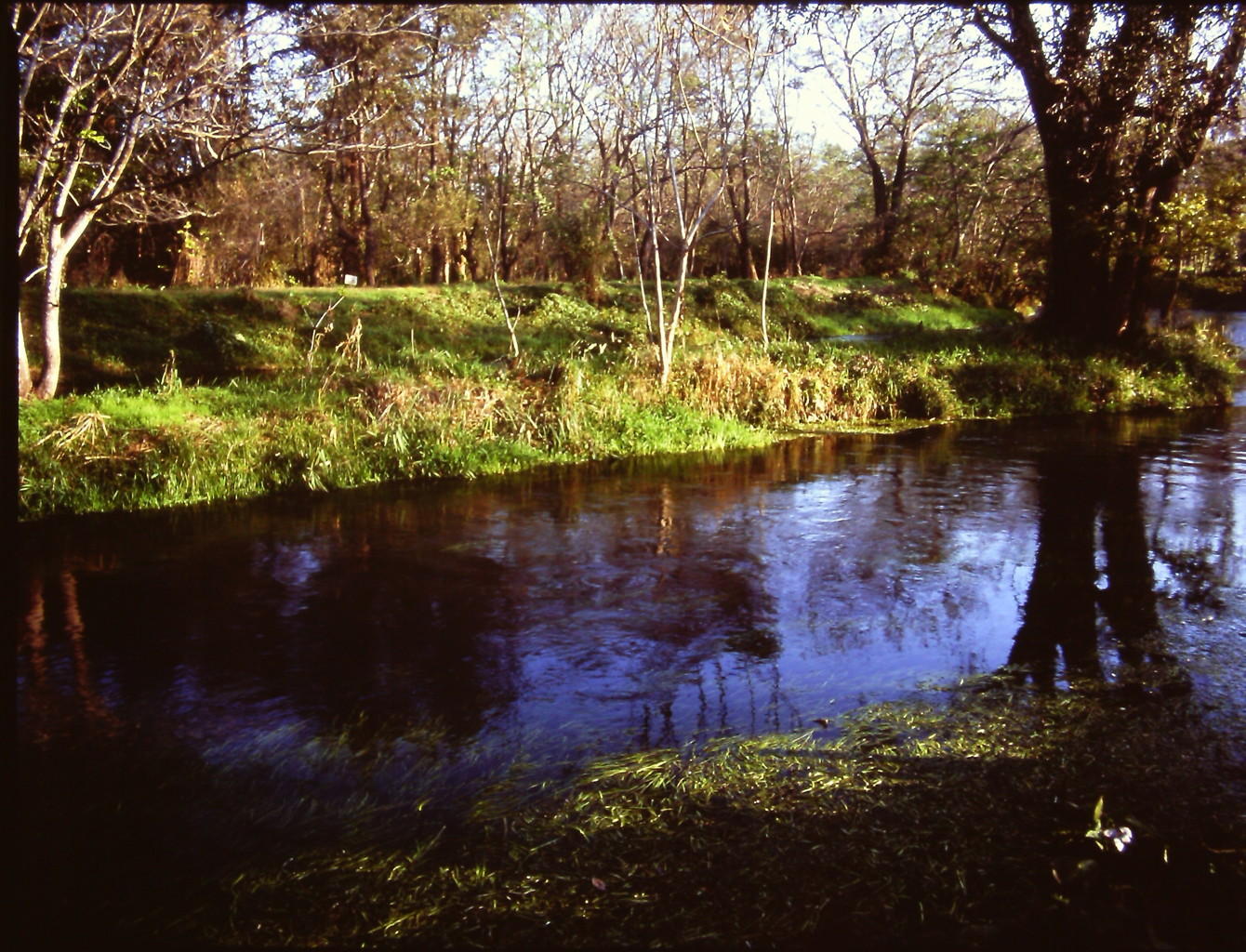 朝の水辺　（フィルムの残像）