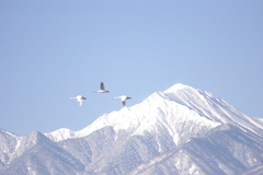 飛翔常念岳３
