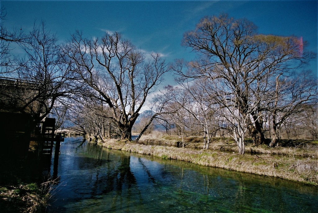 春の水辺