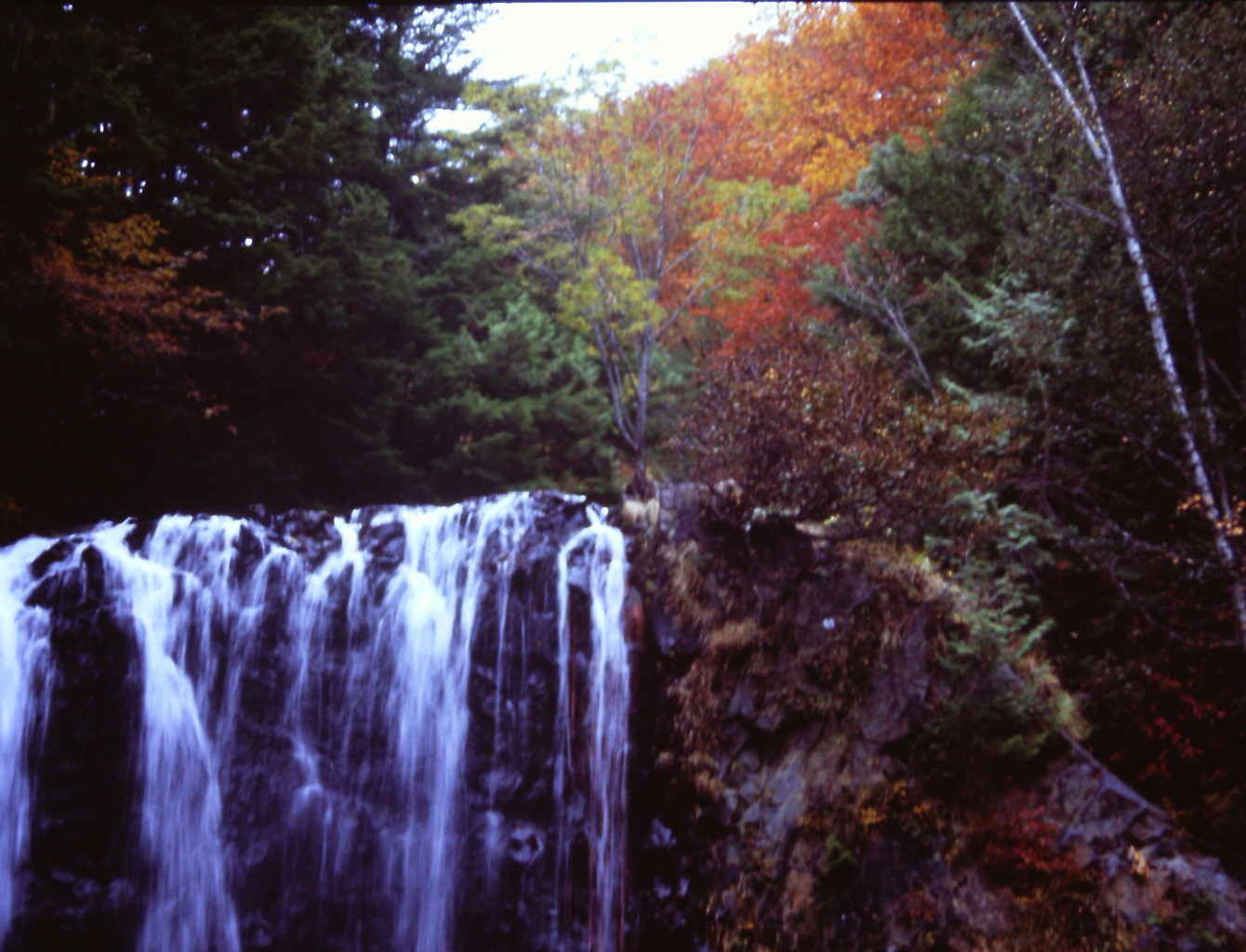 滝上の紅葉　（フィルムの残像）