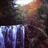 滝上の紅葉　（フィルムの残像）