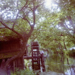 水車小屋の初夏　（フィルムの残像）