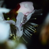夜春雨　２