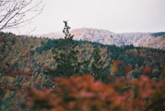 すぐそこは雪山　（フィルムスナップ）