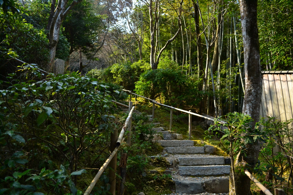 行脚　（滝口寺）