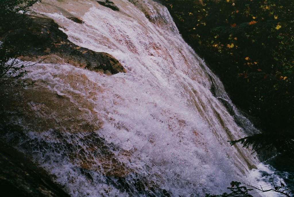 飛沫　（フィルムスナップ）