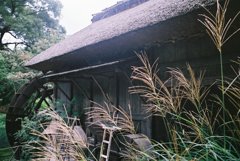 水車小屋の秋　(フィルムスナップ)