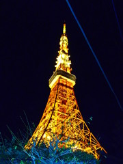 思い出の夜景