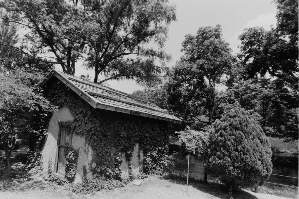 水車小屋の昼下がり　（フィルムスナップ）