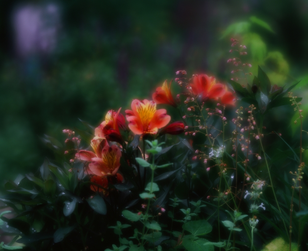 淑やかに　（フィルムの残像）