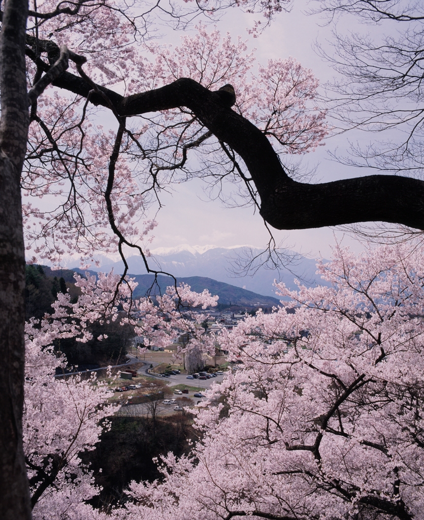 遠望　（フィルムの残像）