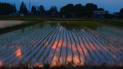 映り込み