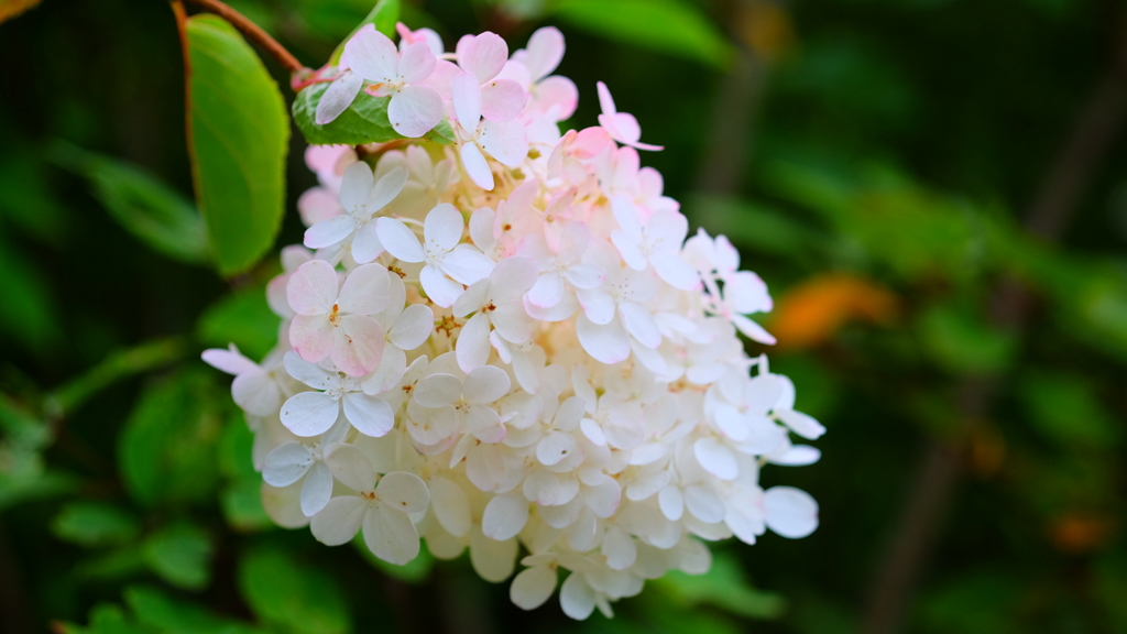 花づくし　６