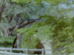 水車小屋の昼下がり　（フィルムの残像４）