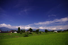 安曇野の夏