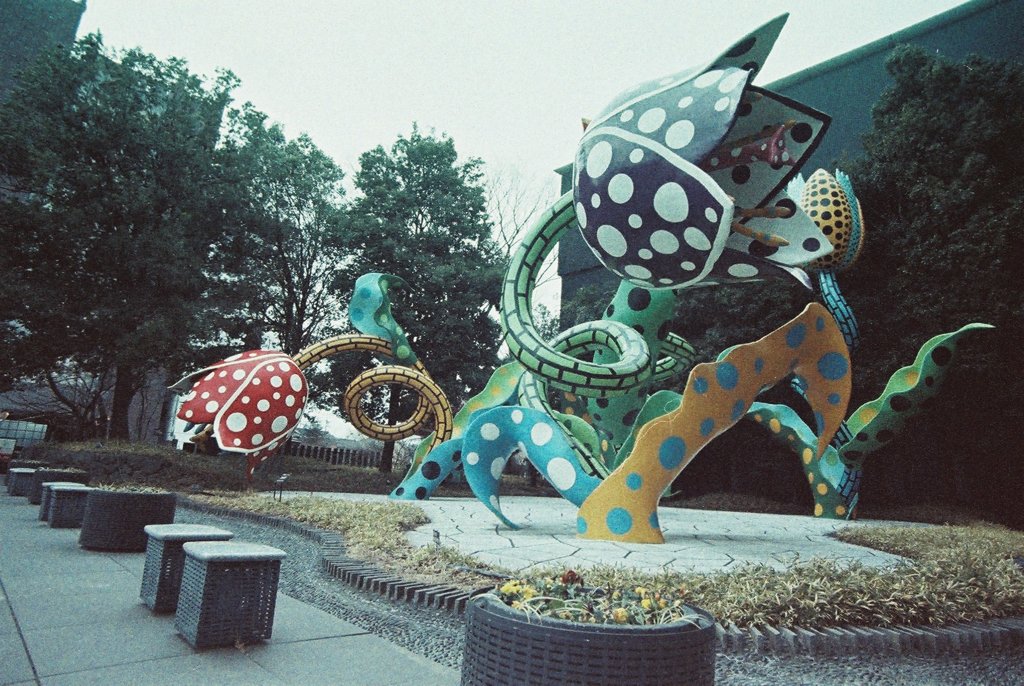 水玉模様・・・