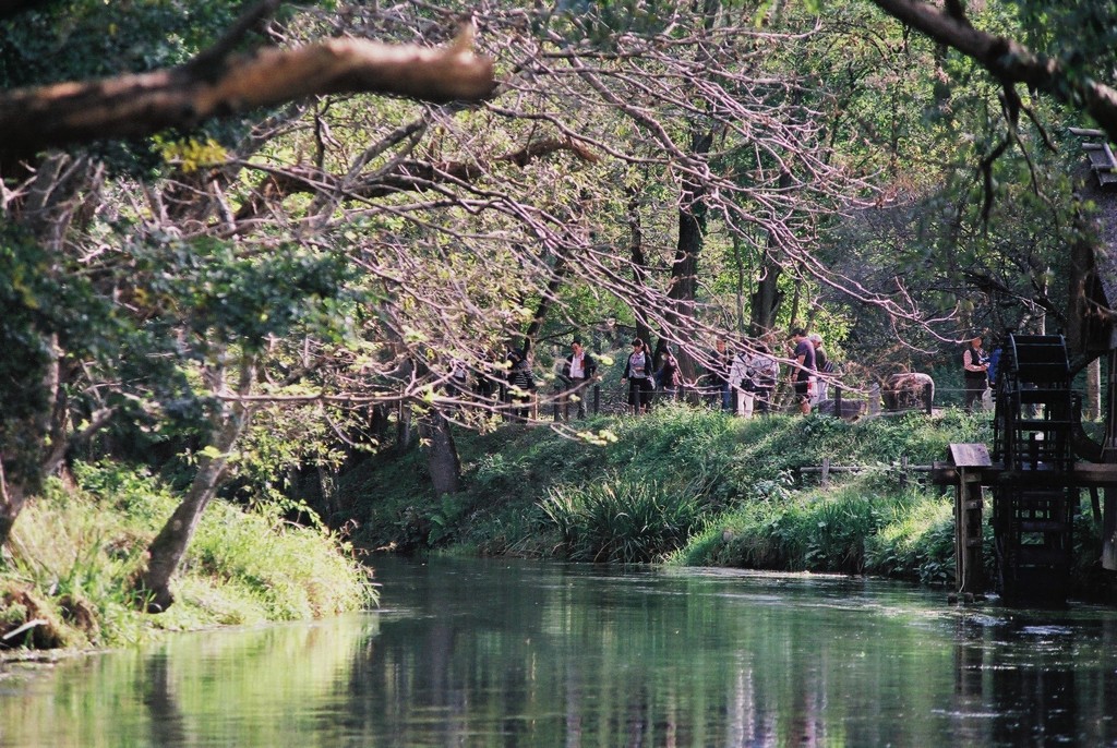 秋の水辺　(フィルムスナップ)