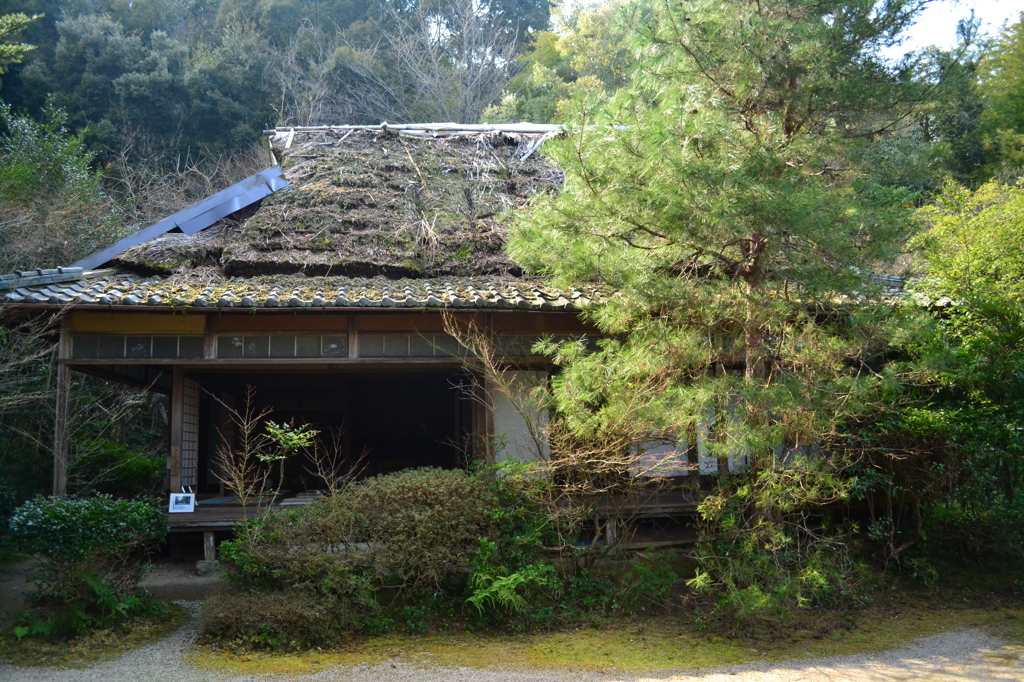 朽ちる　（滝口寺）