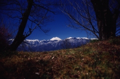 青い山脈（フィルムスナップ）