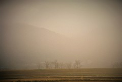 朝霧　(フィルムスナップ）