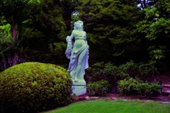女神が待つ花園　（フィルムスナップ）