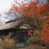 晩秋の水車小屋　(フィルムスナップ）