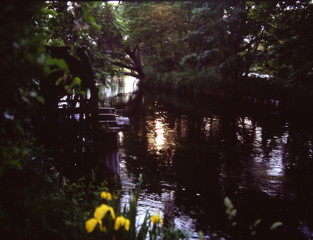 夕暮れ時　（フィルムの残像）