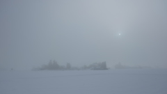 冬のノフラージュ　朝霧
