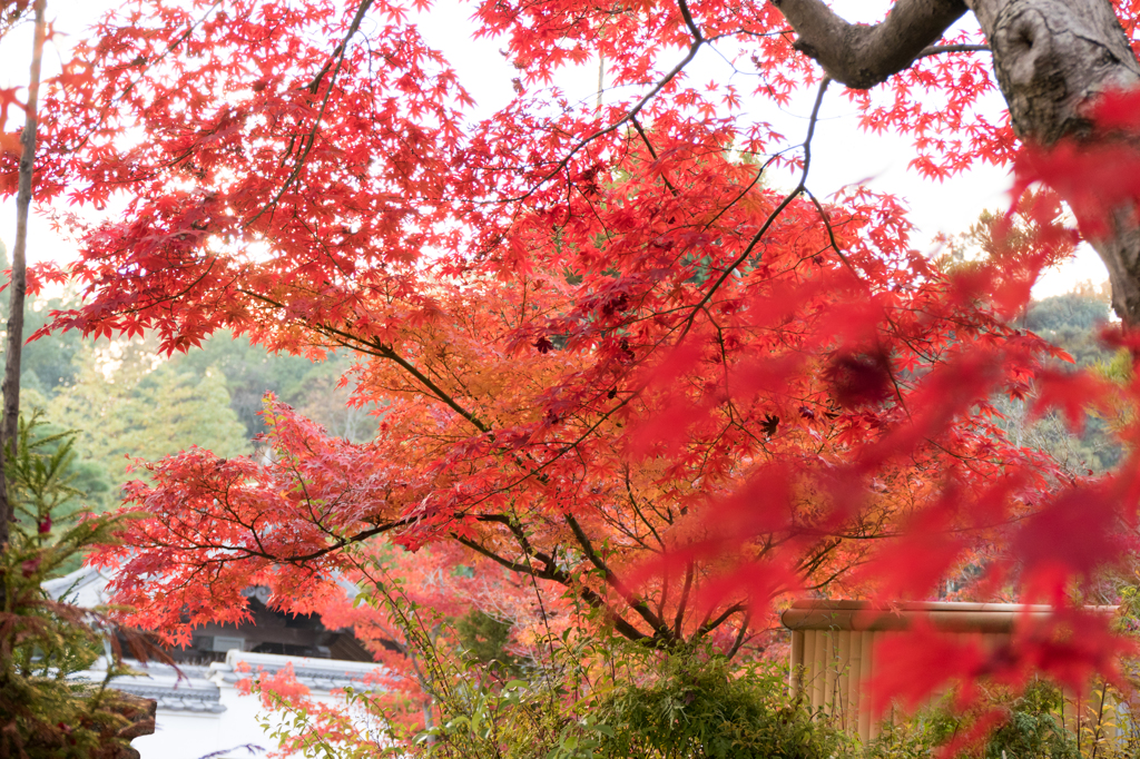 20141123)不洗観音寺にて