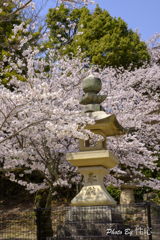 20180331)宮島In厳島神社にて-3