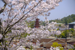 20180331)宮島In厳島神社にて-13