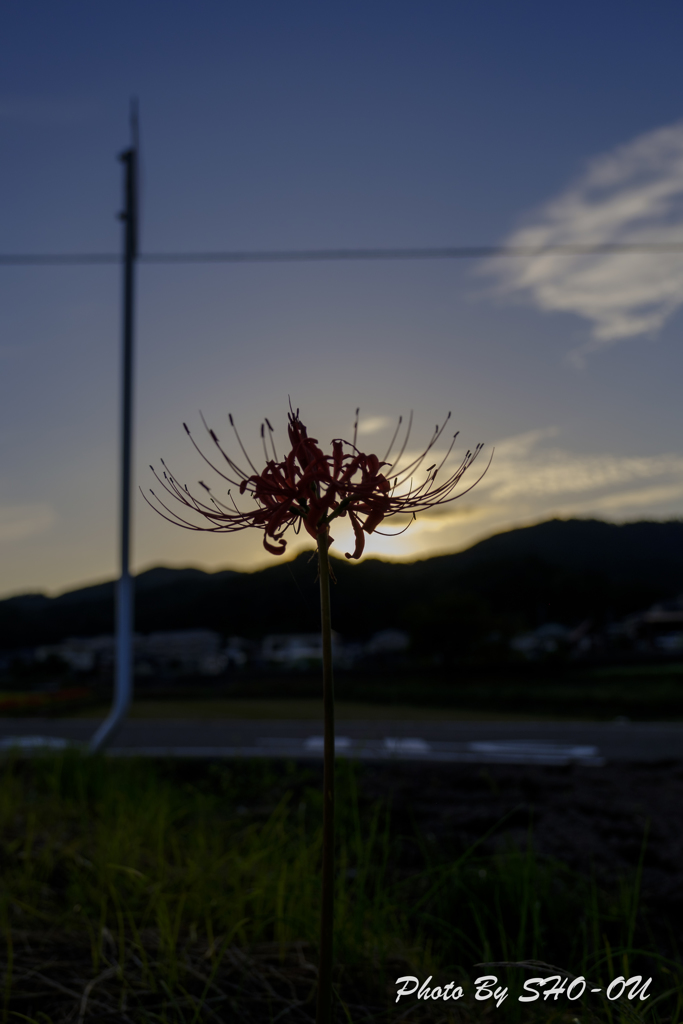 秋の足音-1