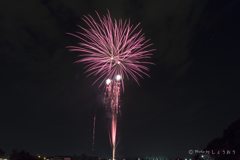 20160823)会社の夏祭り_2
