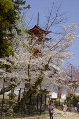 20180331)宮島In厳島神社にて-1