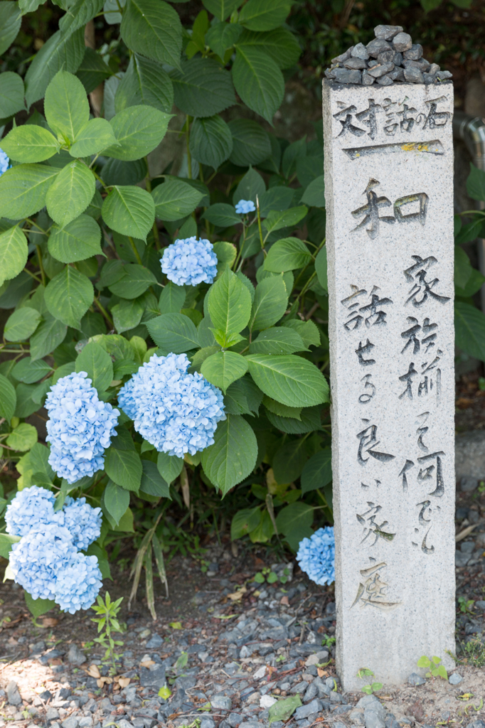 20140624)安養寺散策_14