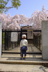 20180331)宮島In厳島神社にて-7