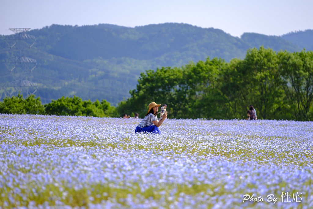 20180429)世羅高原農場と花夢の里にて-8