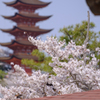 20180331)宮島In厳島神社にて-19
