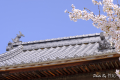20180331)宮島In厳島神社にて-20