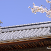20180331)宮島In厳島神社にて-20