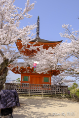 20180331)宮島In厳島神社にて-10