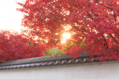 20141123)不洗観音寺にて
