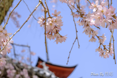 20180331)宮島In厳島神社にて-5