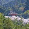20180331)宮島In厳島神社にて-25
